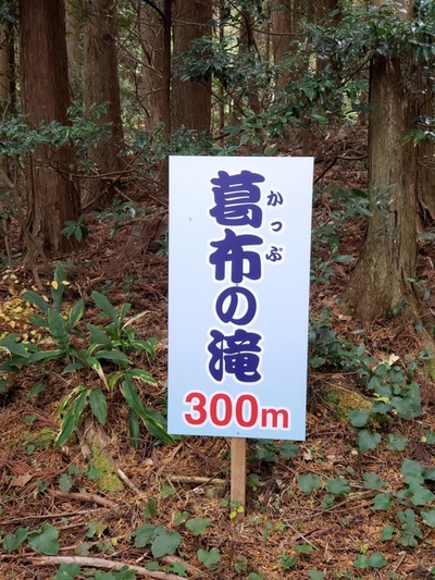 トレッキング in 葛布の滝 トレッキング in 葛布の滝