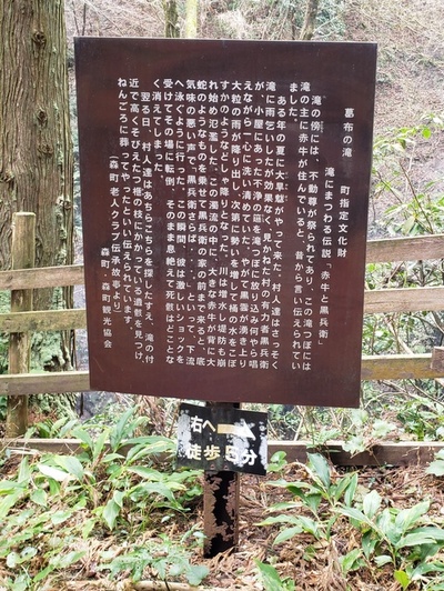 トレッキング in 葛布の滝 トレッキング in 葛布の滝