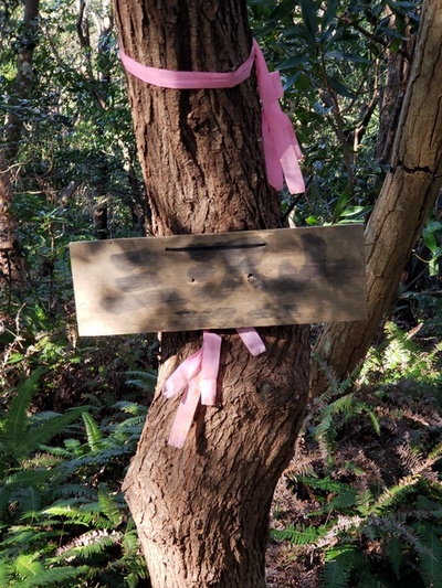 トレッキング in 三沢山 トレッキング in 三沢山