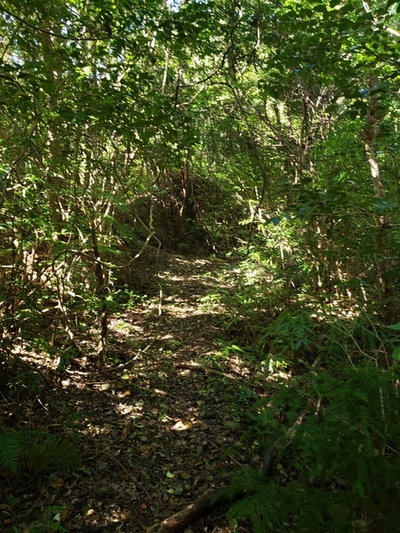 トレッキング in 三沢山 トレッキング in 三沢山