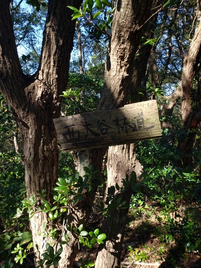 トレッキング in 三沢山 トレッキング in 三沢山