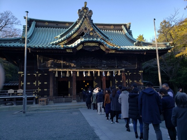 本場の河津桜を観に行ってきました~ 本場の河津桜を観に行ってきました~