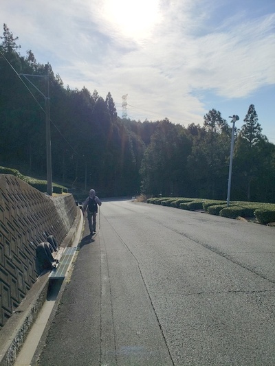 トレッキング in 日坂宿~小夜の中山 トレッキング in 日坂宿~小夜の中山
