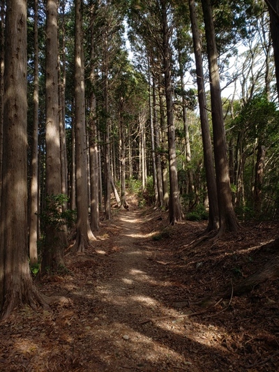 トレッキング in 顕光寺 トレッキング in 顕光寺