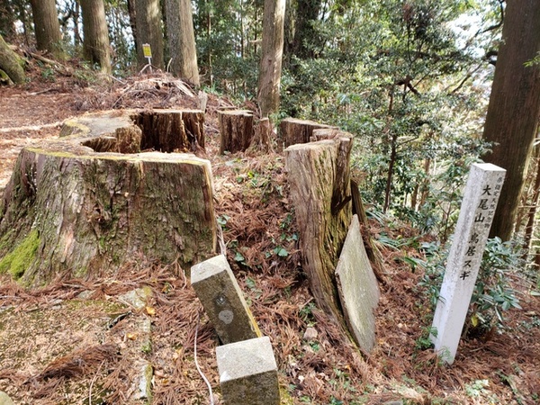 トレッキング in 顕光寺 トレッキング in 顕光寺