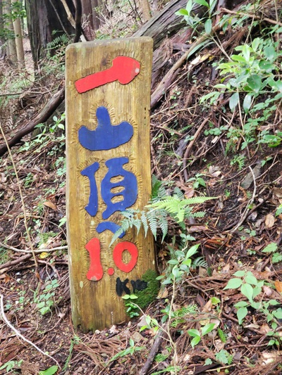 トレッキング in 大尾山・顕光寺 トレッキング in 大尾山・顕光寺