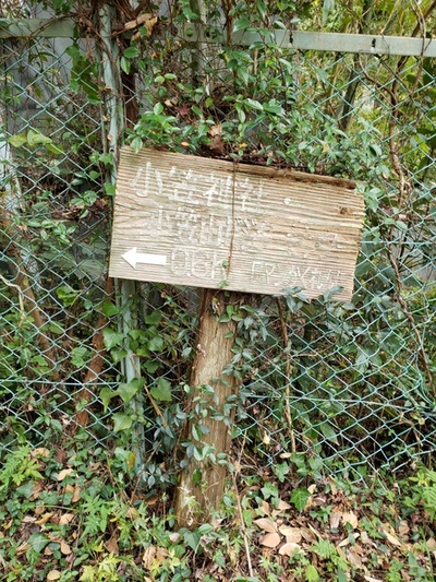トレッキング in 小笠池 後編 トレッキング in 小笠池 後編