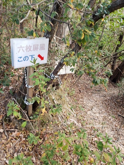 トレッキング in 小笠池 後編 トレッキング in 小笠池 後編