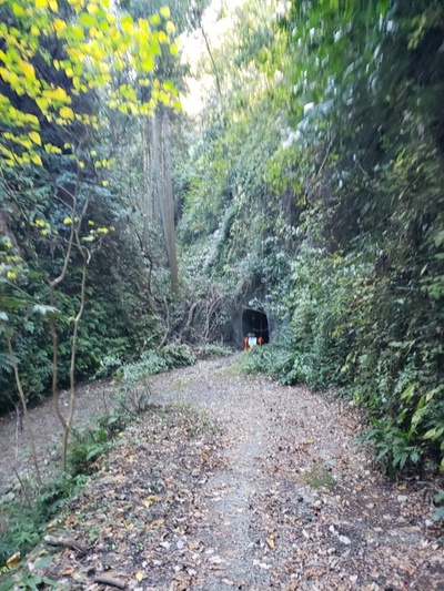 トレッキング in 小笠池 前編 トレッキング in 小笠池 前編