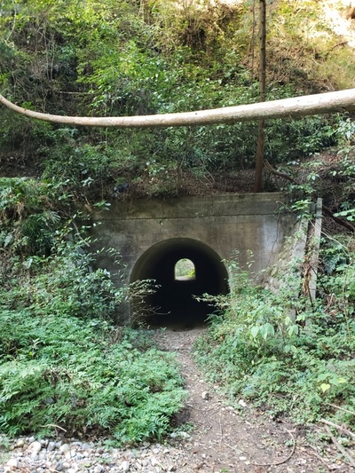 トレッキング in 小笠池 前編 トレッキング in 小笠池 前編