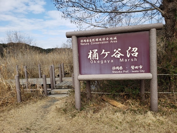トレッキング in 桶ヶ谷沼 トレッキング in 桶ヶ谷沼