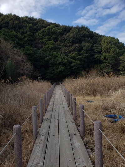 トレッキング in 桶ヶ谷沼 トレッキング in 桶ヶ谷沼