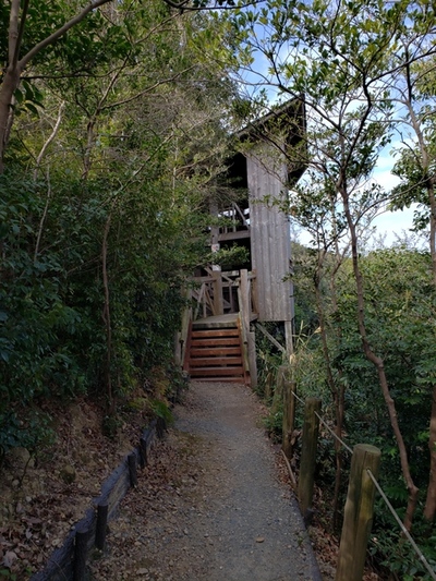 トレッキング in 桶ヶ谷沼 トレッキング in 桶ヶ谷沼