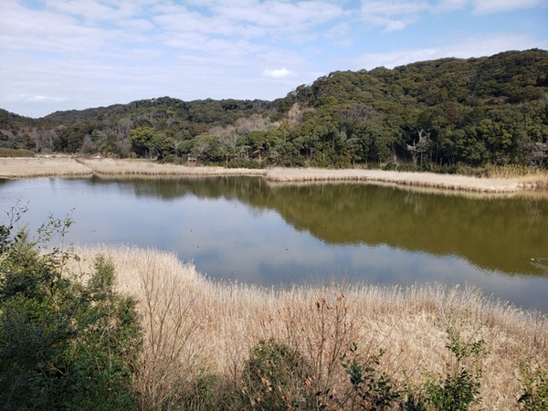 トレッキング in 桶ヶ谷沼 トレッキング in 桶ヶ谷沼