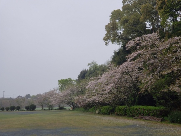 トレッキング in 長嶽山 龍巣院 トレッキング in 長嶽山 龍巣院