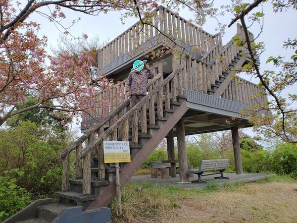 トレッキング in 大浜公園 トレッキング in 大浜公園