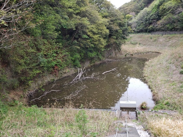トレッキング in 大浜公園 トレッキング in 大浜公園