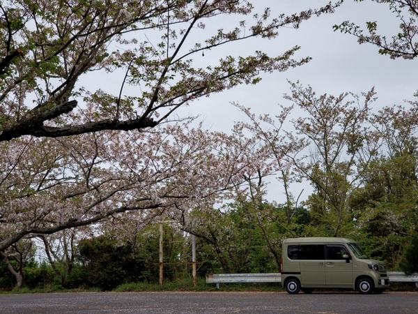 トレッキング in 大浜公園 トレッキング in 大浜公園