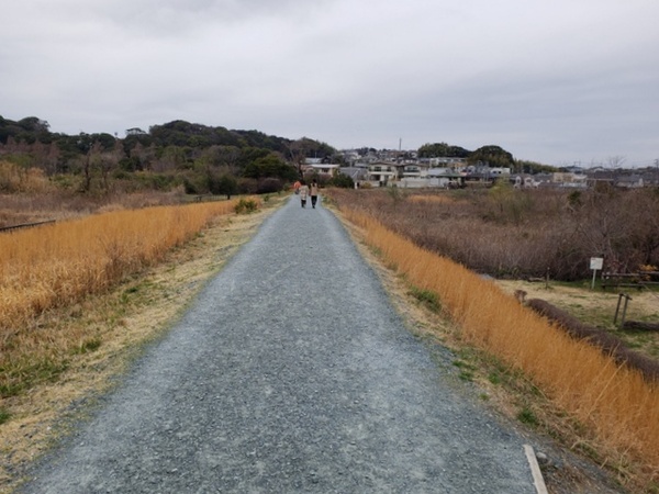 トレッキング in 佐鳴湖 トレッキング in 佐鳴湖