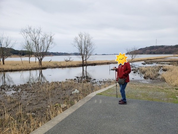 トレッキング in 佐鳴湖 トレッキング in 佐鳴湖