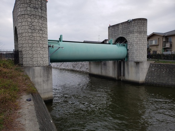 トレッキング in 佐鳴湖 トレッキング in 佐鳴湖