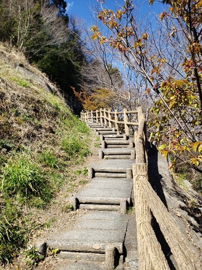 トレッキング in 薩埵峠(さったとうげ) トレッキング in 薩埵峠(さったとうげ)