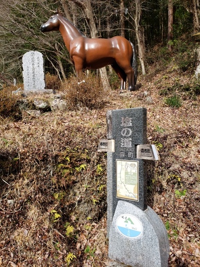 トレッキング in 戦国夢街道ハイキングコース トレッキング in 戦国夢街道ハイキングコース
