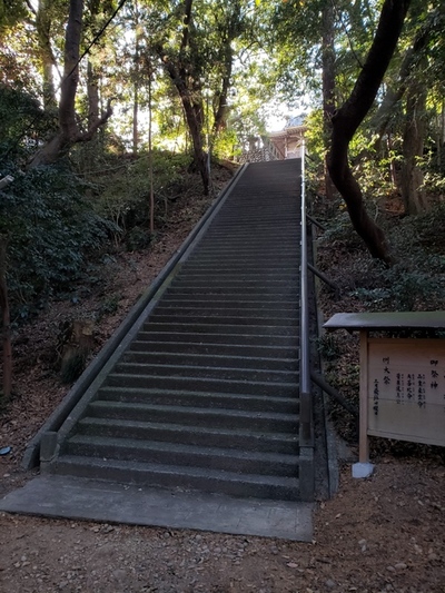 トレッキング in 高天神城址 前半 トレッキング in 高天神城址 前半