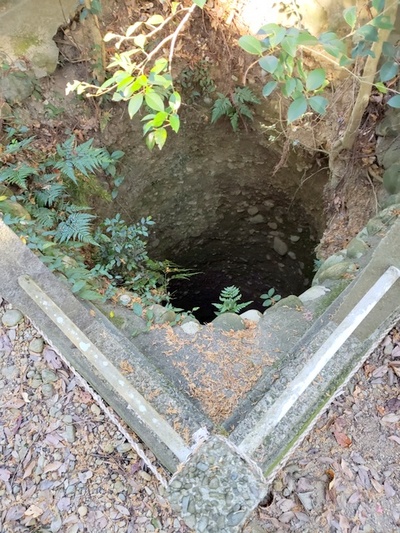 トレッキング in 高天神城址 前半 トレッキング in 高天神城址 前半