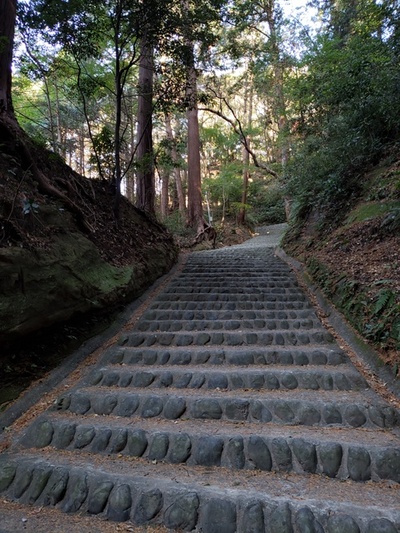 トレッキング in 高天神城址 後半 トレッキング in 高天神城址 後半