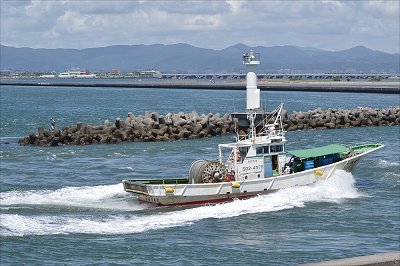 今切白灯台 舞阪港へ 日進丸