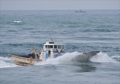 春漁しらす漁 今切凱旋の新居港海雄丸