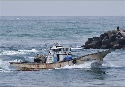 春漁しらす漁 今切凱旋の新居港海雄丸