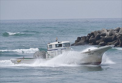 新居港しらす漁 凱旋の福吉丸(綱船)