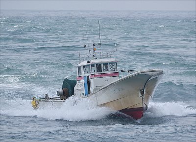舞阪しらす漁 遠州灘の大スプレー 大同丸