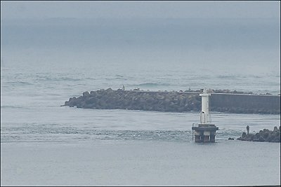 6月25日 【シラス漁は休漁です。】