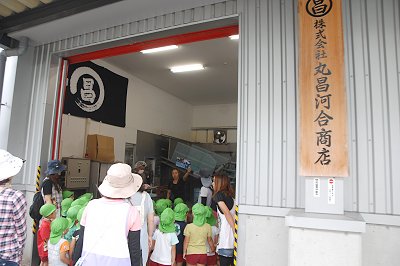 舞阪大好き!舞阪幼稚園しらす探検隊!