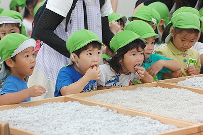 舞阪幼稚園しらす探検隊 冷たいほっぺがゆるんだよ
