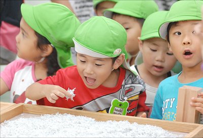 舞阪幼稚園しらす探検隊 冷たいほっぺがゆるんだよ