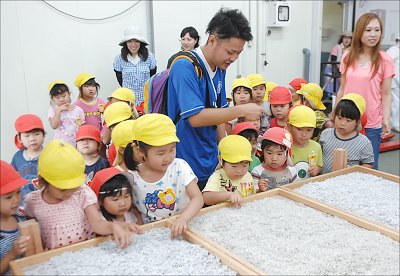 舞阪幼稚園しらす探検隊 海の宝物モグモグの部屋