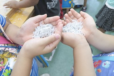 舞阪幼稚園しらす探検隊 ありがとうの挨拶