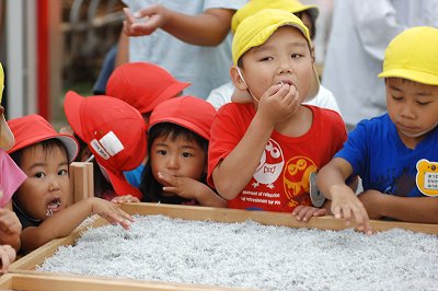 舞阪幼稚園しらす探検隊 モグモグ食べて元気な子