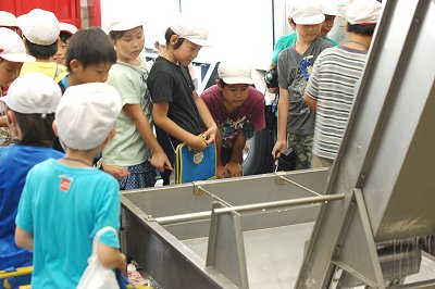舞阪小学校3年生 舞阪よいところ探し隊がやってきた