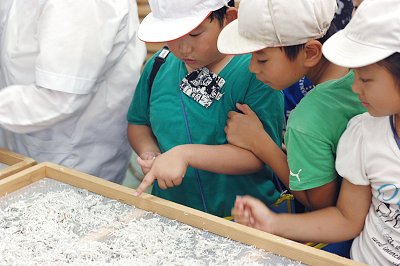 舞阪小学校3年生 チリモンを拾おう
