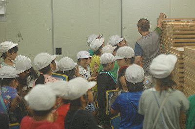 舞阪小学校3年生 チルドルームのチルドレン