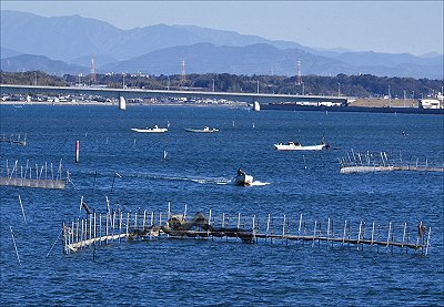 浜名湖富士景色　メッコ・アサリ漁の海　舞阪海幸彦