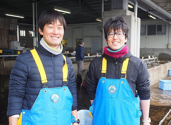 舞阪漁港のトラフグは来年を栽培する親フグ　静岡県温水利用研究センター来舞