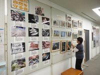 舞阪の自然を守る会展示に舞阪お魚歳時記で協力