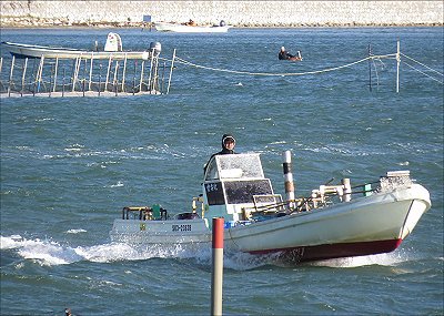 浜名湖　春の強風の中のアサリ漁