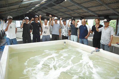 浜名湖のあさり復活　種苗漁師の取り組みの報道